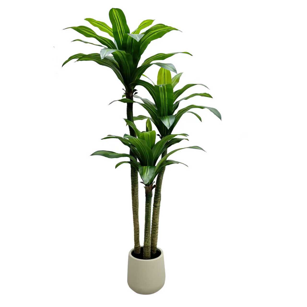 artificial dracaena tree
