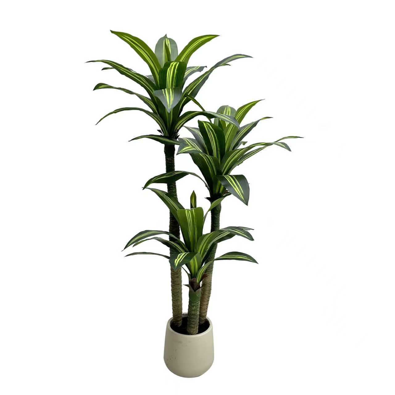 artificial dracaena plant